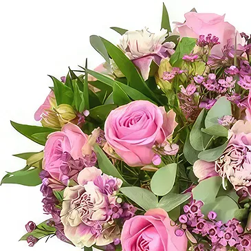 Bristol Blumen Florist- Errötender Schönheits-Blumenstrauß Bouquet/Blumenschmuck