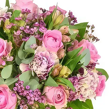 Bristol Blumen Florist- Errötender Schönheits-Blumenstrauß Bouquet/Blumenschmuck