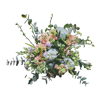 Denmark flowers  -  Delicate Choice Flower Delivery