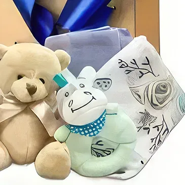 Erdokertes flowers  -  Baby's Love Flower Bouquet/Arrangement