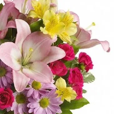 Italy flowers  -  Flowers to send for birthday Flower Bouquet/Arrangement