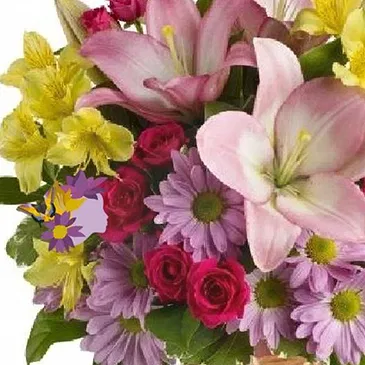 Italy flowers  -  Flowers to send for birthday Flower Bouquet/Arrangement