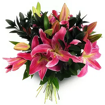 Antias flowers  -  Flower Power Delivery