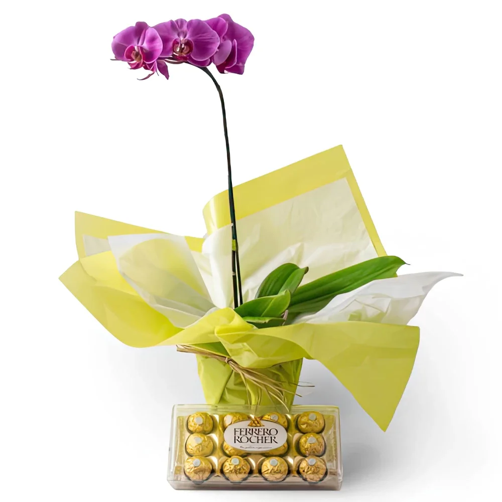 بائع زهور ساو باولو- الوردي والشوكولاته Phalaenopsis أوركيد باقة الزهور