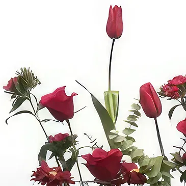 Adma flowers  -  Black Touch  Flower Bouquet/Arrangement