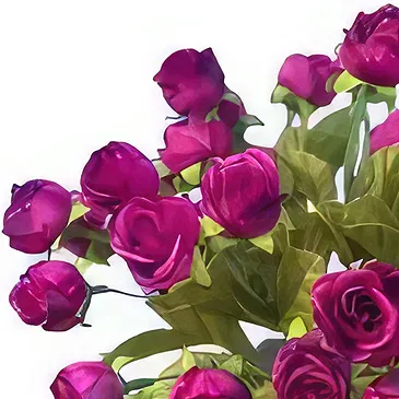 Adma flowers  -  Arrangement 1 Flower Bouquet/Arrangement