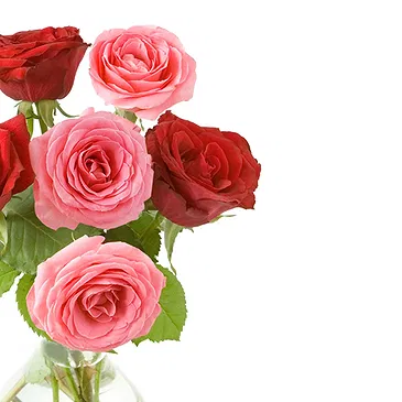 Italy flowers  -  Bouquet of pink and red roses Flower Bouquet/Arrangement