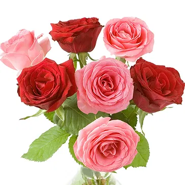 Italy flowers  -  Bouquet of pink and red roses Flower Bouquet/Arrangement