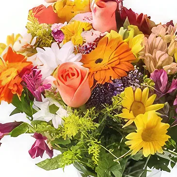 Santa Maria flowers  -  Medium Arrangement of Colorful Potted Field F Flower Bouquet/Arrangement