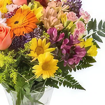 Santa Maria flowers  -  Medium Arrangement of Colorful Potted Field F Flower Bouquet/Arrangement
