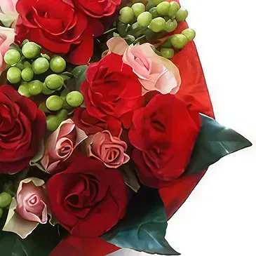 Wroclaw flowers  -  warm wishes Flower Bouquet/Arrangement