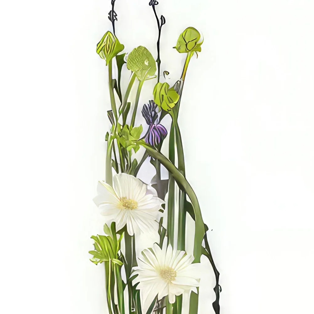 Tarbes cvijeća- Diva cvjetni aranžman Cvjetni buket/aranžman