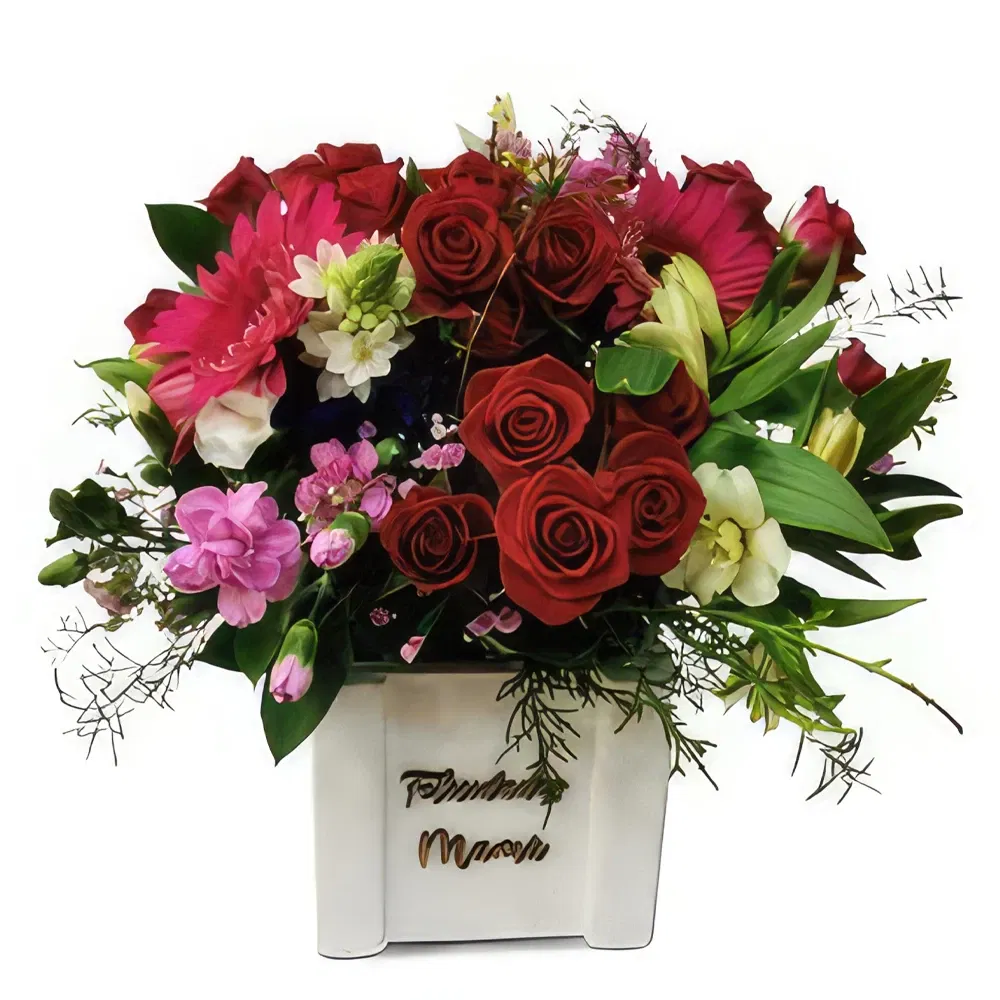 Mallorca flowers  -  Flawless