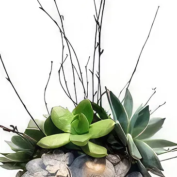 Cala Llonga flowers  -  Donna Flower Bouquet/Arrangement