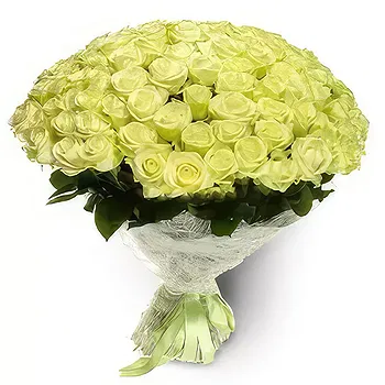 Kravino flowers  -  Fresh Arrivals Flower Delivery