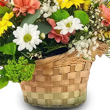 Cala Llonga flowers  -  Whimsical Daisy Assortment Flower Bouquet/Arrangement