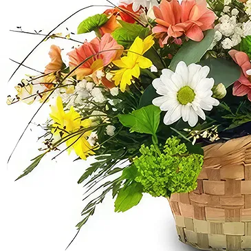 Cala Llonga flowers  -  Whimsical Daisy Assortment Flower Bouquet/Arrangement