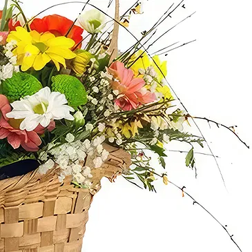 Cala Llonga flowers  -  Whimsical Daisy Assortment Flower Bouquet/Arrangement