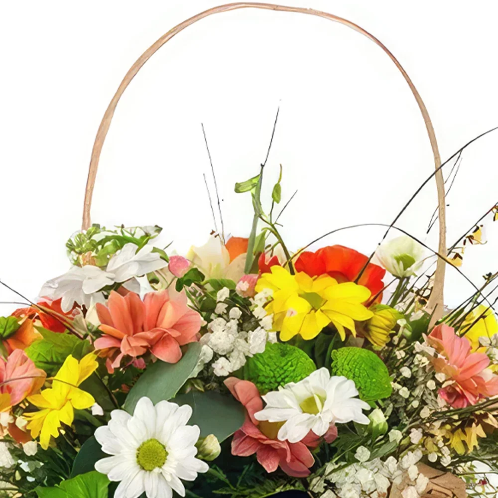 Benalmadena blomster- Snodig Daisy-sortiment Blomsterarrangementer bukett
