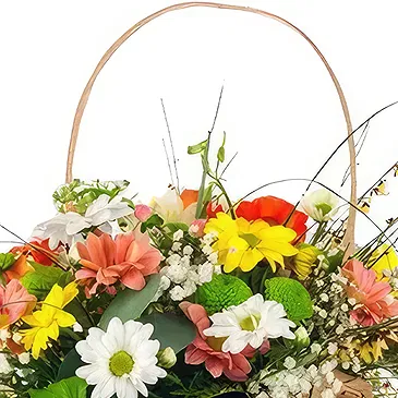 Cala Llonga flowers  -  Whimsical Daisy Assortment Flower Bouquet/Arrangement