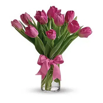 Bemaitso (Bemaitso) blomster- Pinkish Dream Blomst Levering