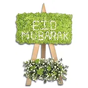 Sheikh Zayed Road online Florist - Soft Green  Bouquet