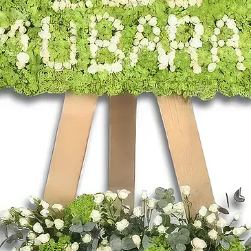 Ajman flowers  -  Soft Green  Flower Bouquet/Arrangement