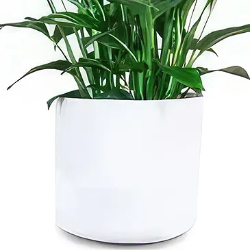 Spain flowers  -  Peace Lily Flower Bouquet/Arrangement