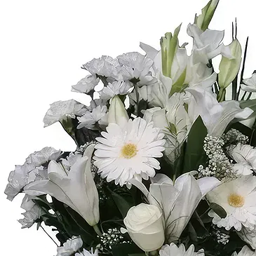 Cala Llonga flowers  -  Whispers Of Comfort Flower Bouquet/Arrangement