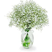 Ammán Floristeria online - El beso de la naturaleza Ramo de flores