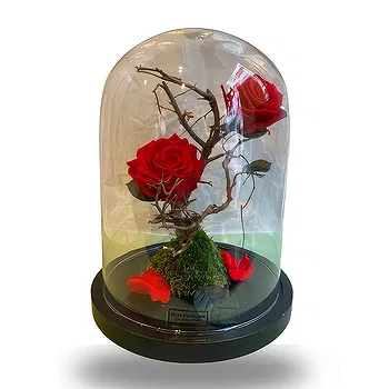 Ghent kukat- Bell Jar Kukka Toimitus