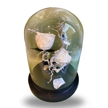 Ghent kukat- Tyylikäs Bell Jar valkoisilla ruusuilla Kukka kukkakimppu
