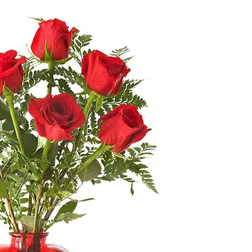 Italy flowers  -  Bouquet of 6 Red Roses Flower Bouquet/Arrangement