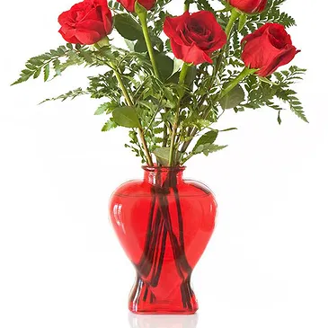 Italy flowers  -  Bouquet of 6 Red Roses Flower Bouquet/Arrangement