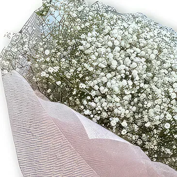 Al Shamkha flowers  -  Elegant Bouquet with Gypso  Flower Bouquet/Arrangement