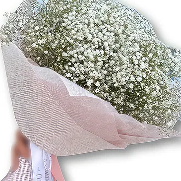 Al Shamkha flowers  -  Elegant Bouquet with Gypso  Flower Bouquet/Arrangement