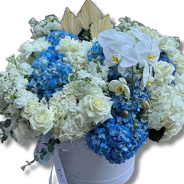 Downtown dubai flowers  -  Elegant Box Arrangement with Hydrangeas Flower Bouquet/Arrangement