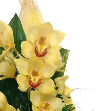 Portugal flowers  -  Yellow Splendor Flower Bouquet/Arrangement