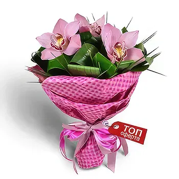 Kravino flowers  -  Extraneous Sensitivity Flower Delivery