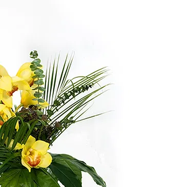 fiorista fiori di Firenze- Ramo di orchidea Cymbidium Bouquet floreale