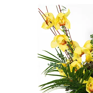 fiorista fiori di Firenze- Ramo di orchidea Cymbidium Bouquet floreale