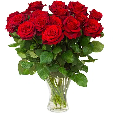 Oman flowers  -  12 Red Roses Flower Bouquet/Arrangement