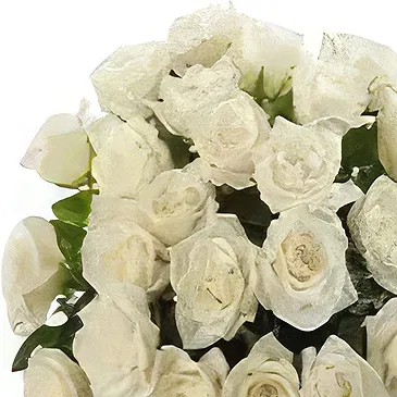 Borg i Grimsnesi blomster- Serenity White Blomst buket/Arrangement