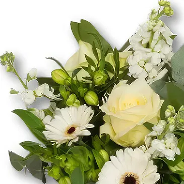 Holland flowers  -  Condolence bouquet Flower Bouquet/Arrangement
