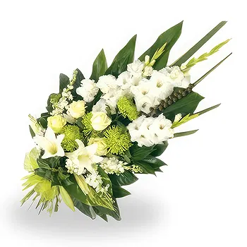Srijemske Laze flowers  -  Luminous Tribute Flower Delivery