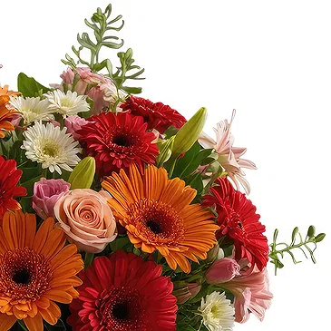 San Andros flowers  -  Natures Elegance Flower Bouquet/Arrangement