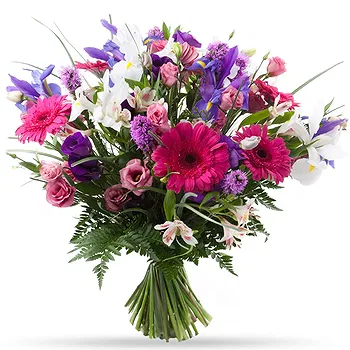 Holland flowers  -  Natural Colors Flower Delivery