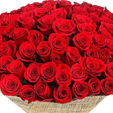 Oman flowers  -  100 Red Roses Bouquet Flower Bouquet/Arrangement