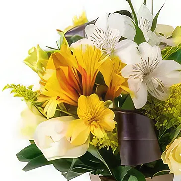 Santa Maria flowers  -  Arrangement of Lisianthus and Astromélias Flower Bouquet/Arrangement