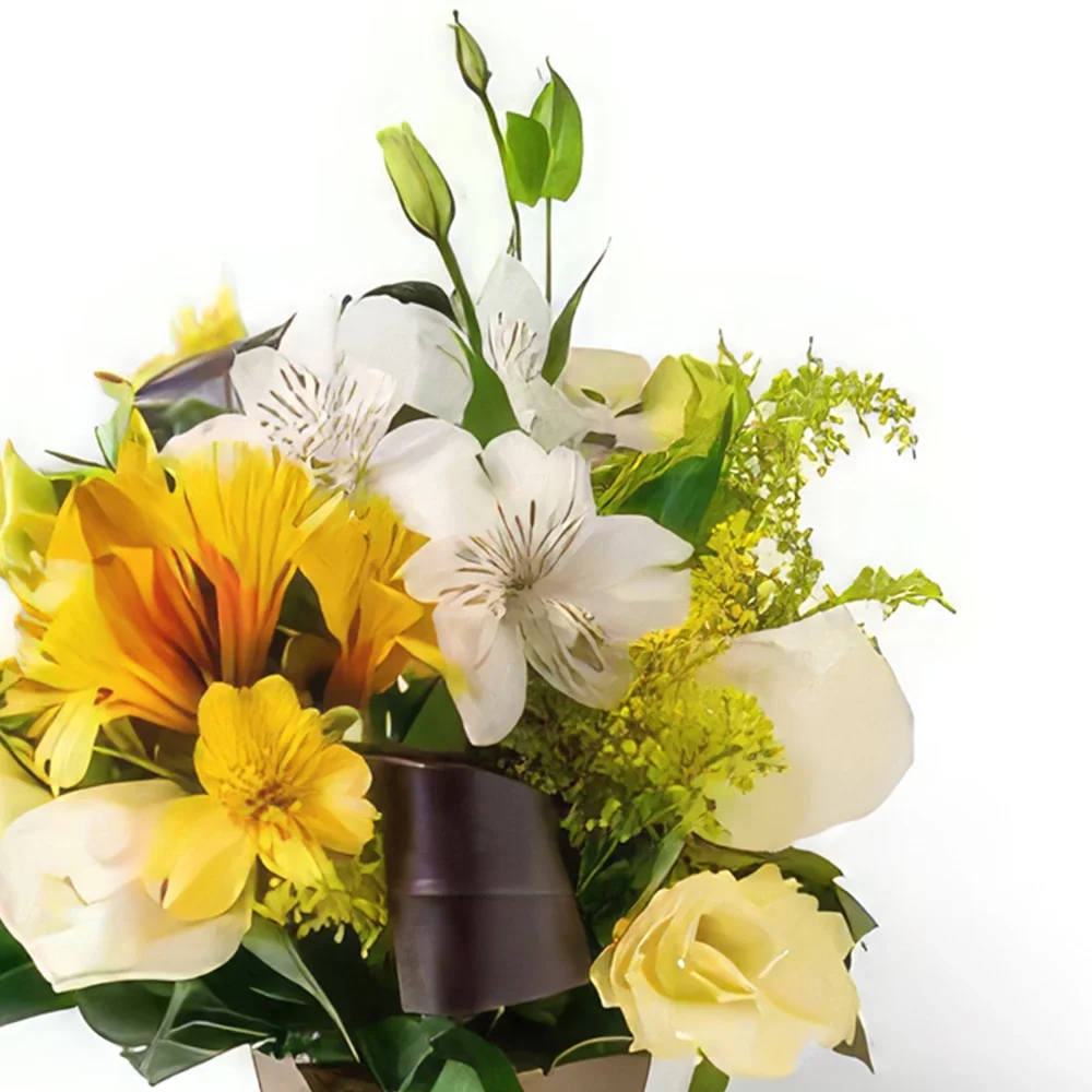 flores de Rio de Janeiro- Arranjo de Lisianthus e Astromélias Bouquet/arranjo de flor